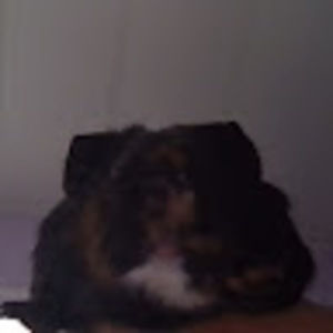 Meet your Posher, Legit